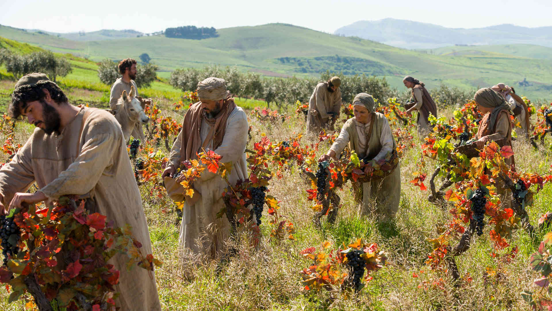 A still from a Bible Video of laborers in a vineyard, depicting one of Jesus's parables.