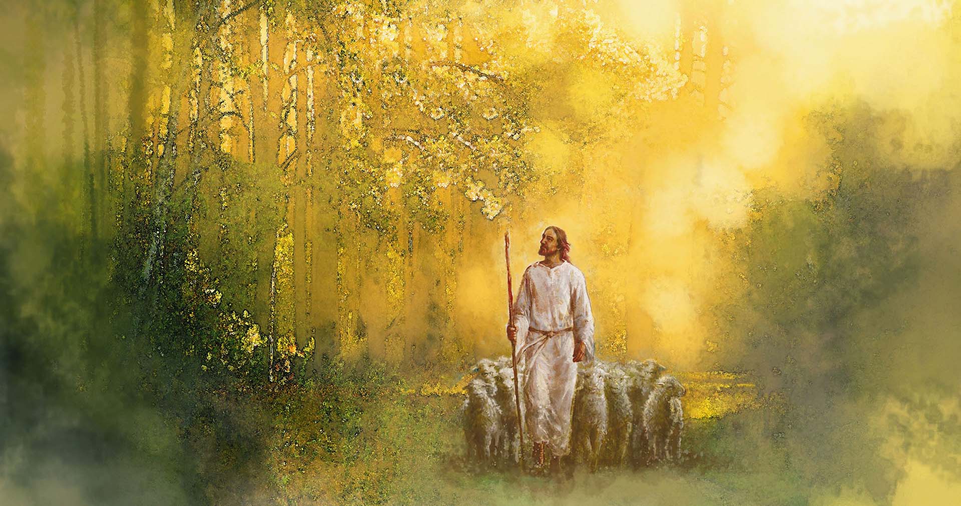 The Lord Is My Shepherd, by Yongsung Kim, havenlight.com. Image via Church of Jesus Christ.