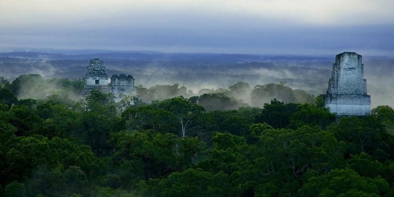 Vista de Tikal sobre la jungla